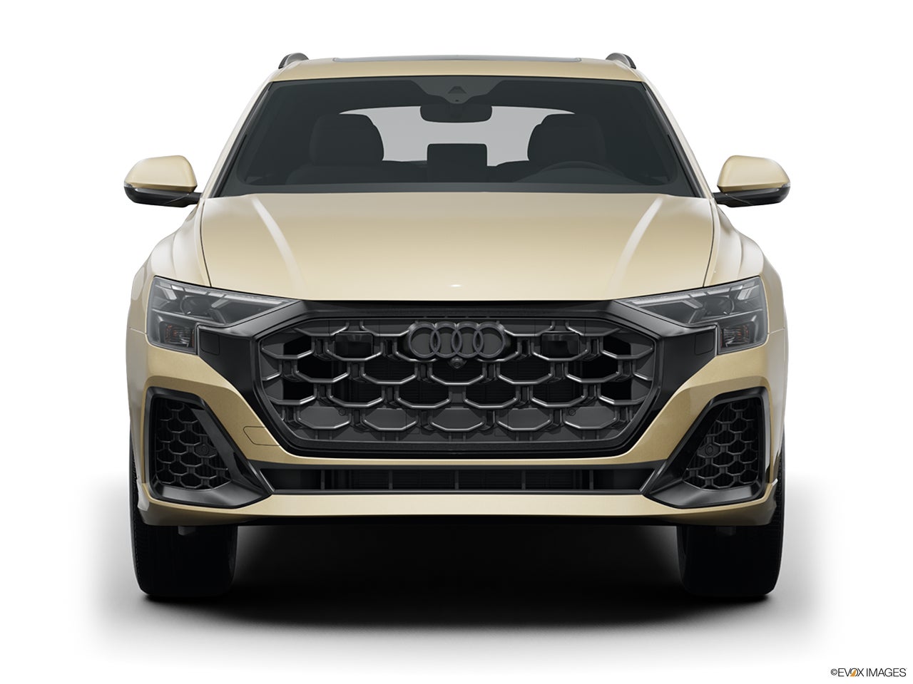 2025 Audi Q8 photo