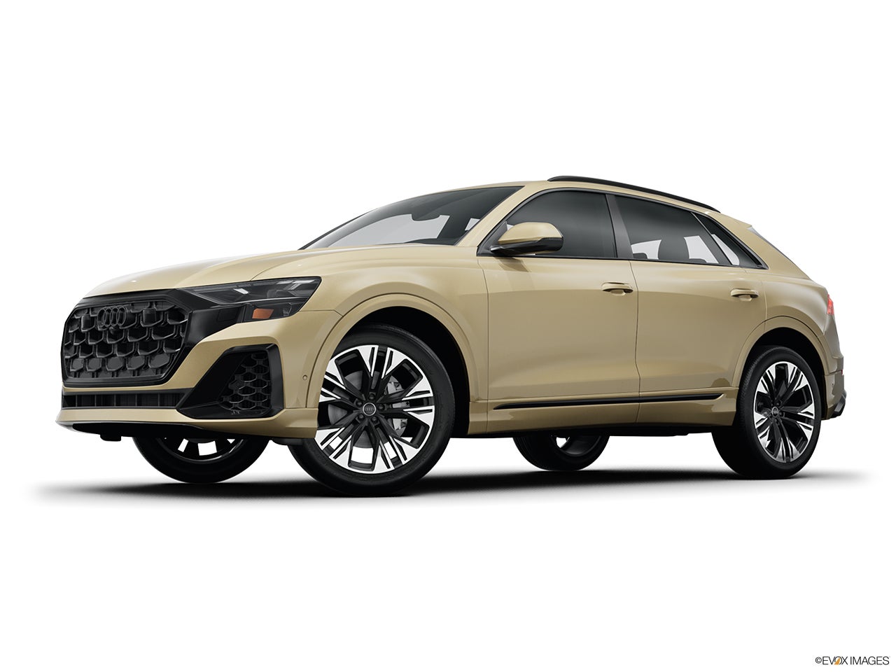 2025 Audi Q8 photo