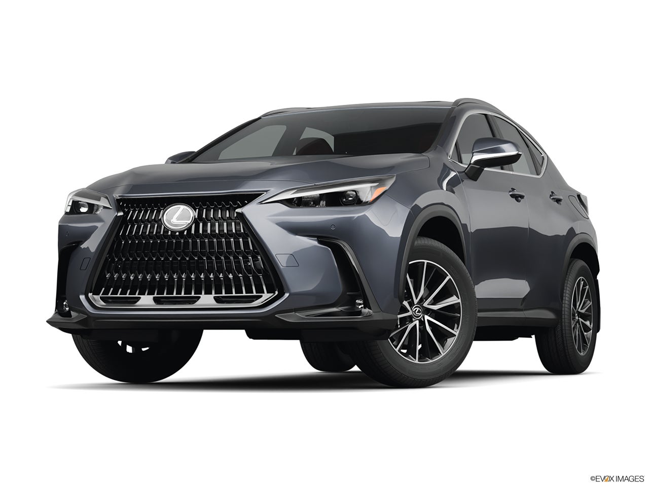 2025 Lexus NX 350h photo