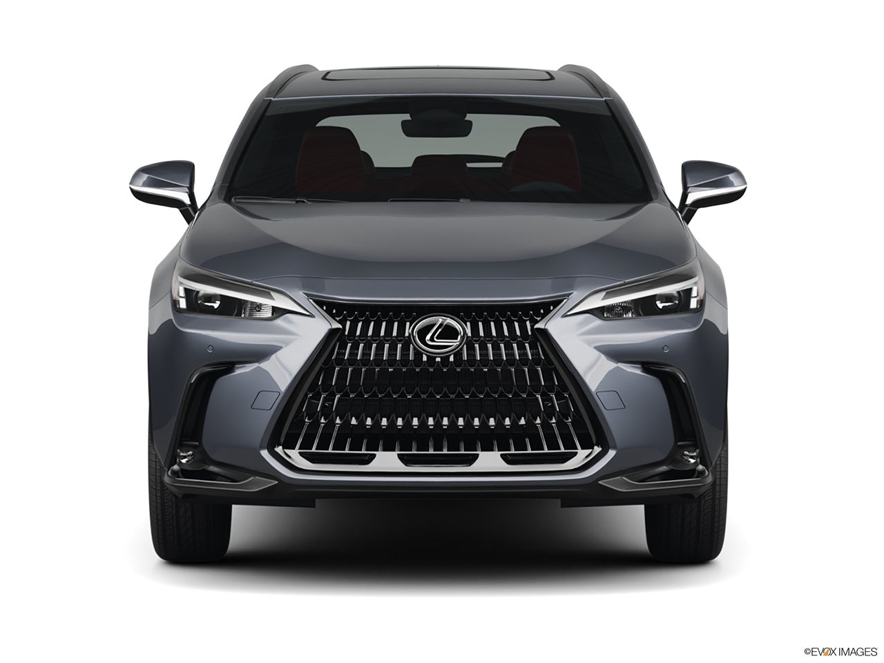 2025 Lexus NX 350h photo