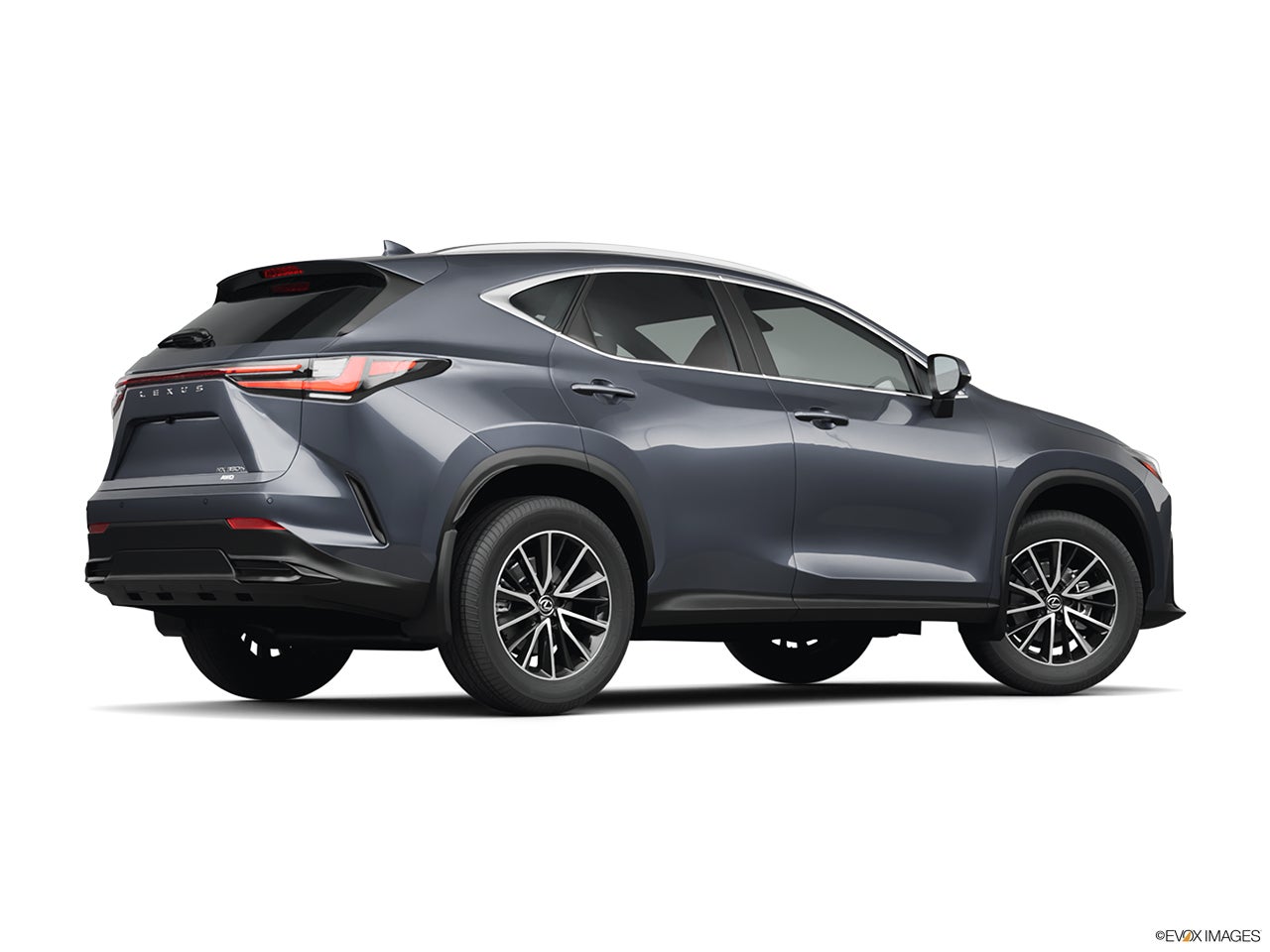 2025 Lexus NX 350h photo