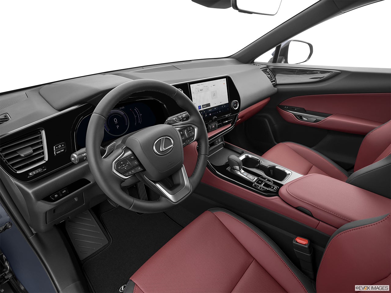 2025 Lexus NX 350h photo