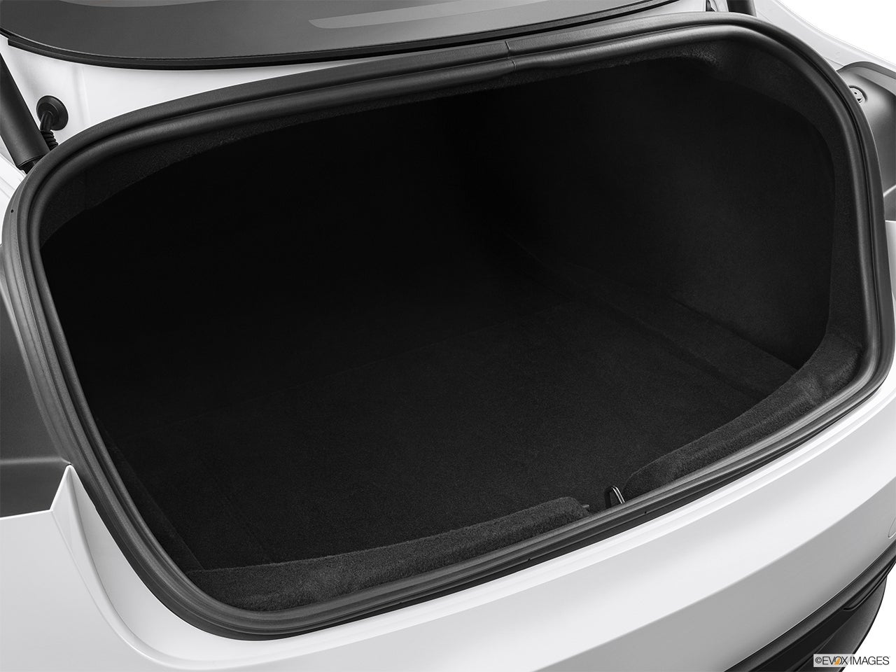 2025 Tesla Model 3 photo