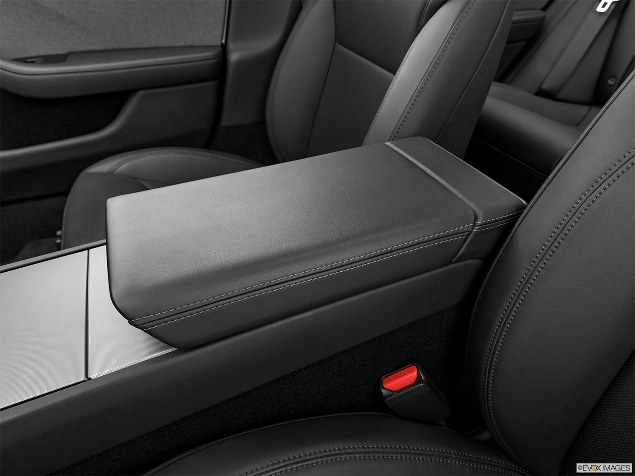 2025 Tesla Model 3 photo