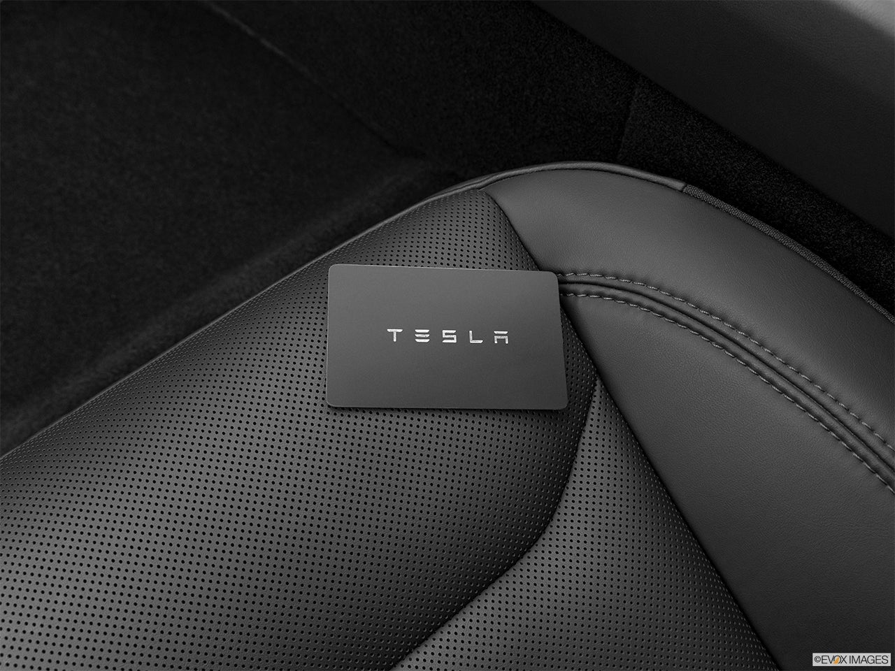 2025 Tesla Model 3 photo