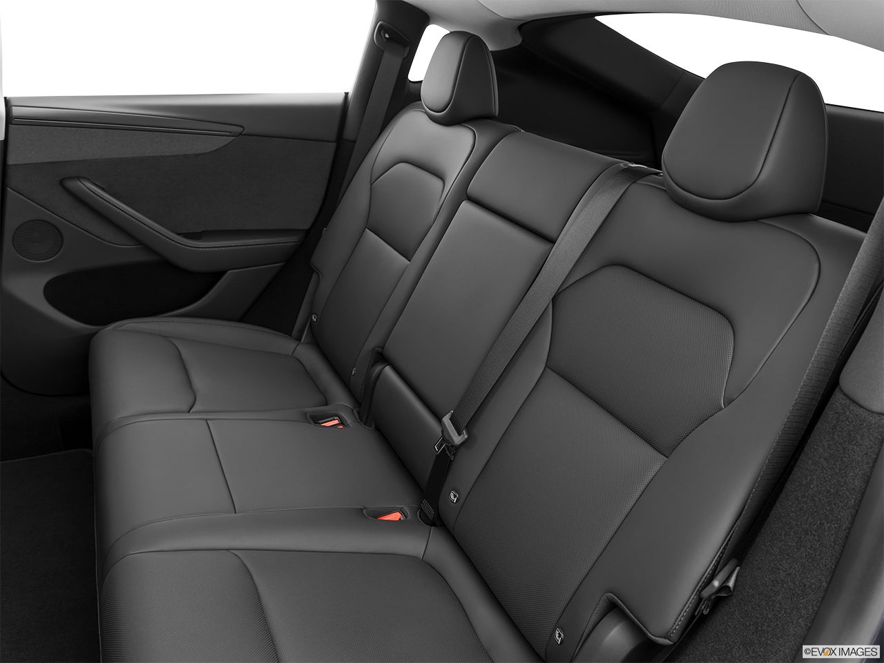 2026 Tesla Model Y photo