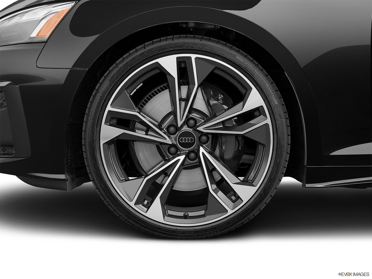 2025 Audi S5 Sportback photo