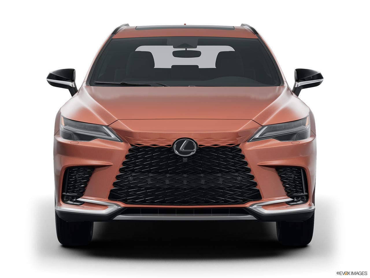 2025 Lexus RX 350 photo