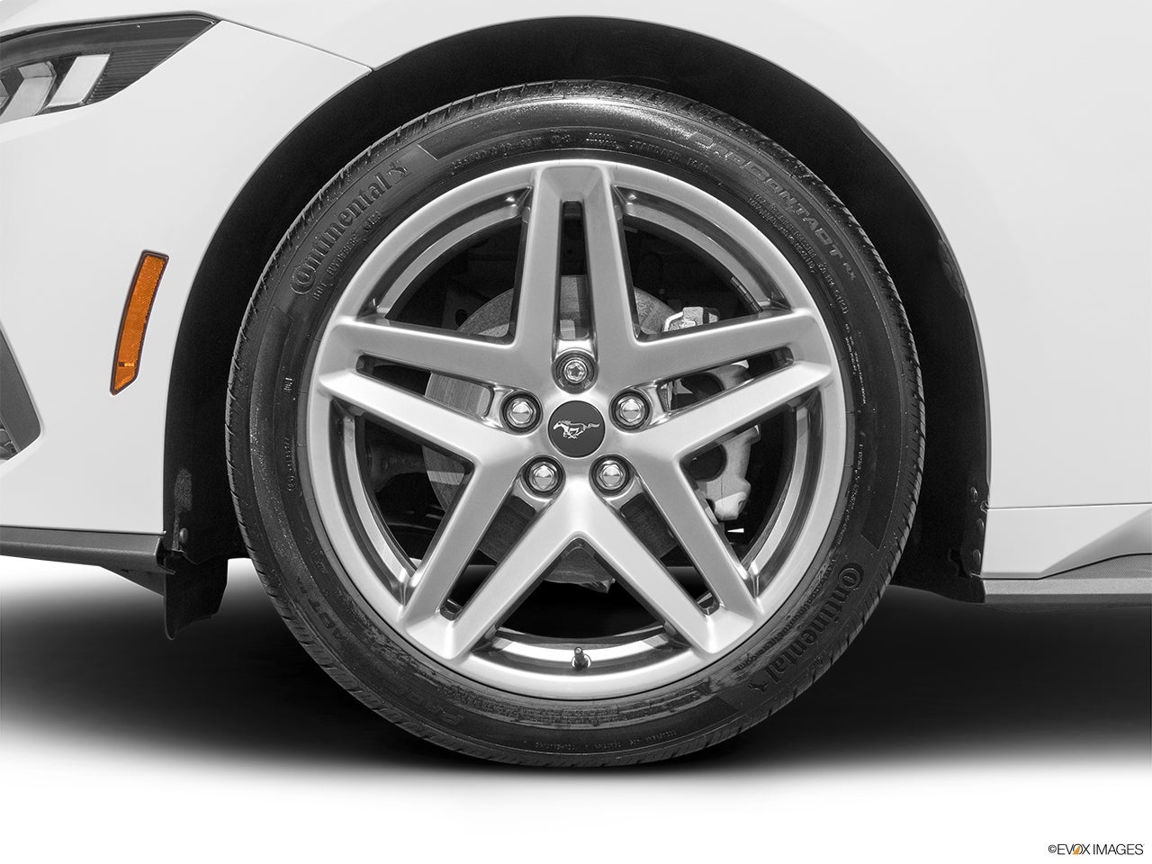 2026 Ford Mustang photo