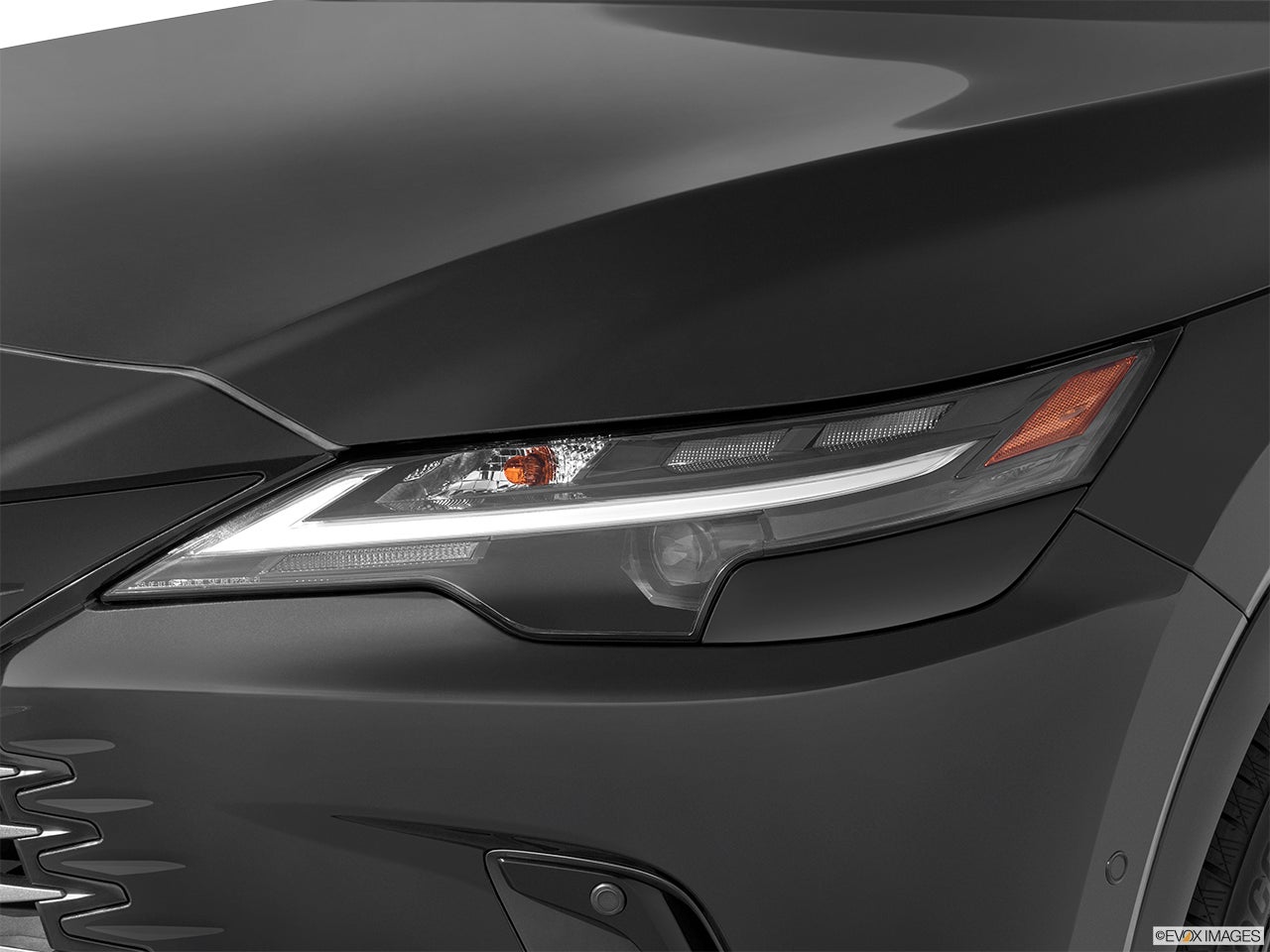 2026 Lexus RX 350h photo