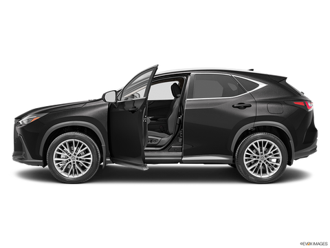 2026 Lexus NX 350