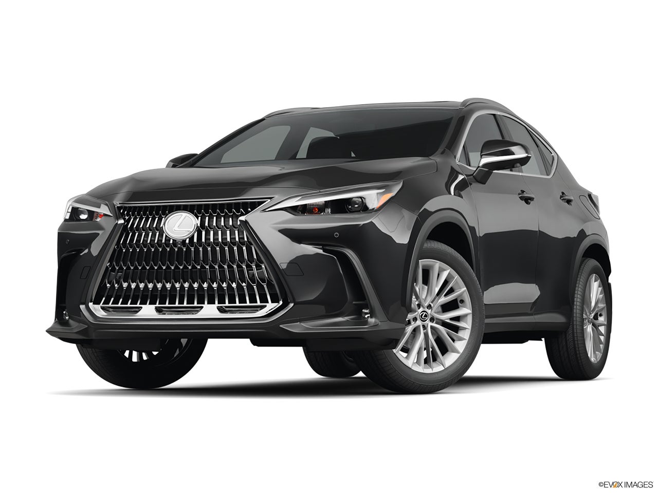 2026 Lexus NX 350 photo