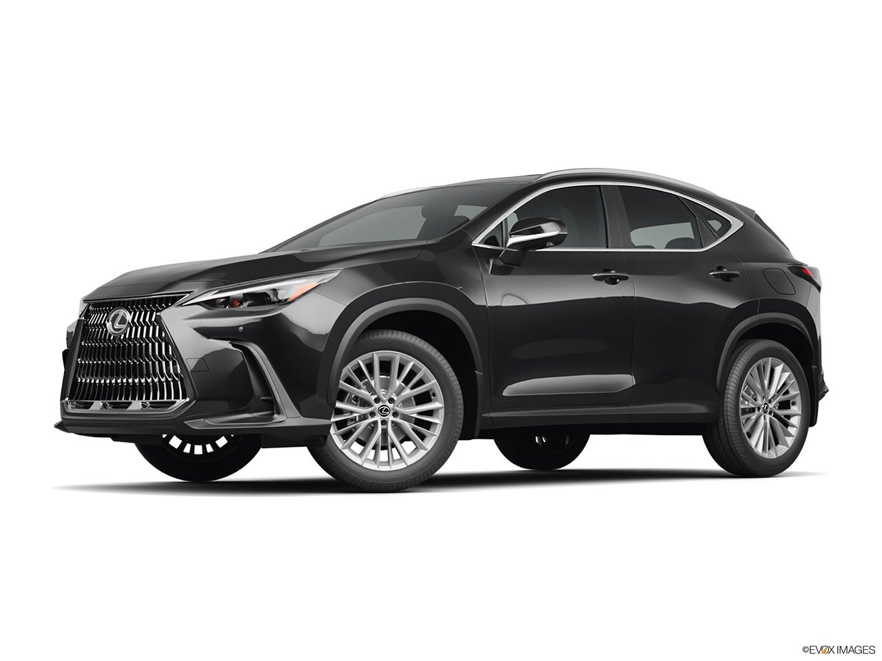 2026 Lexus NX 350 photo