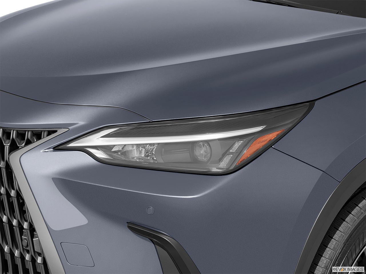 2026 Lexus NX 350h photo