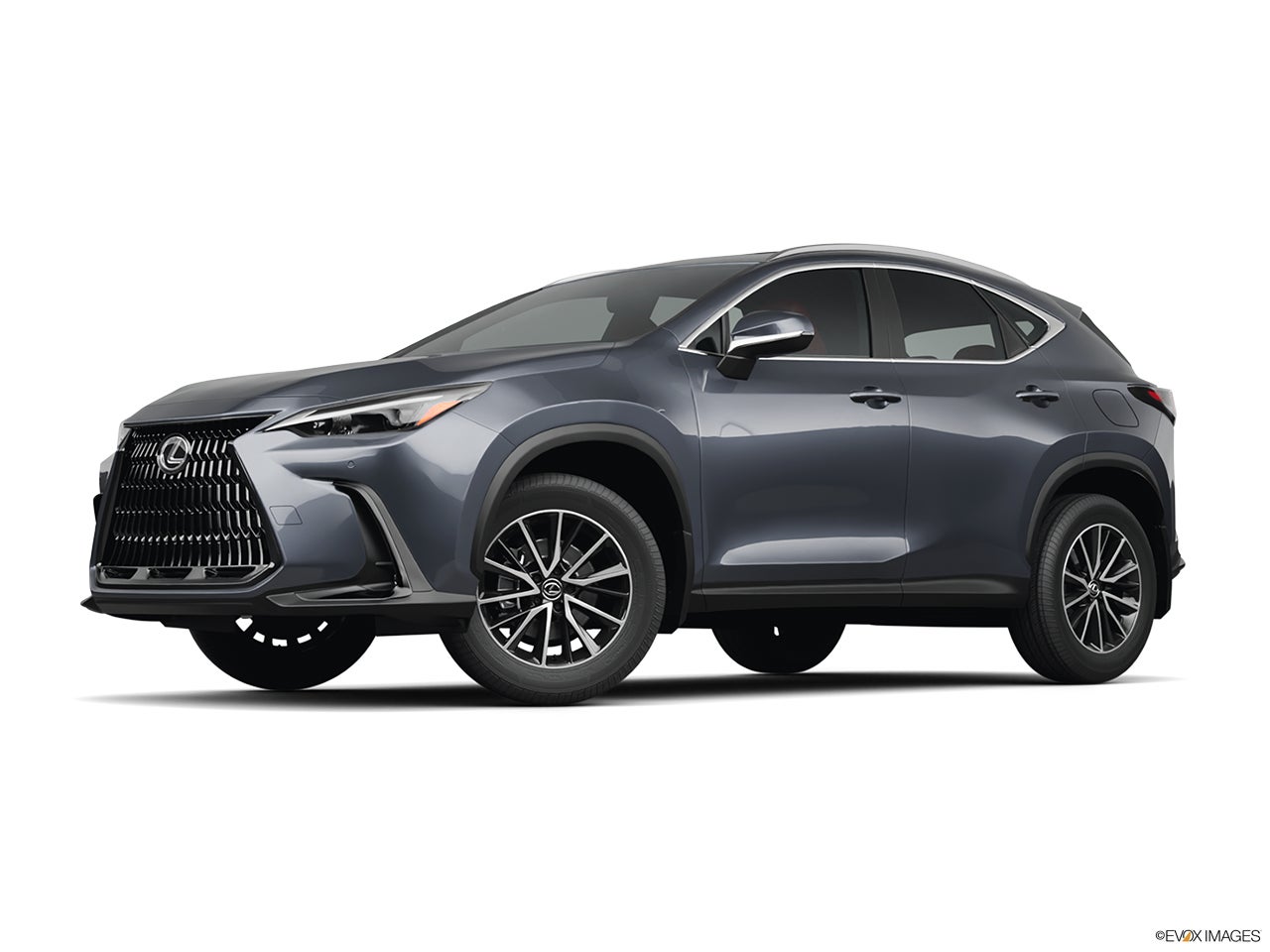 2026 Lexus NX 350h photo