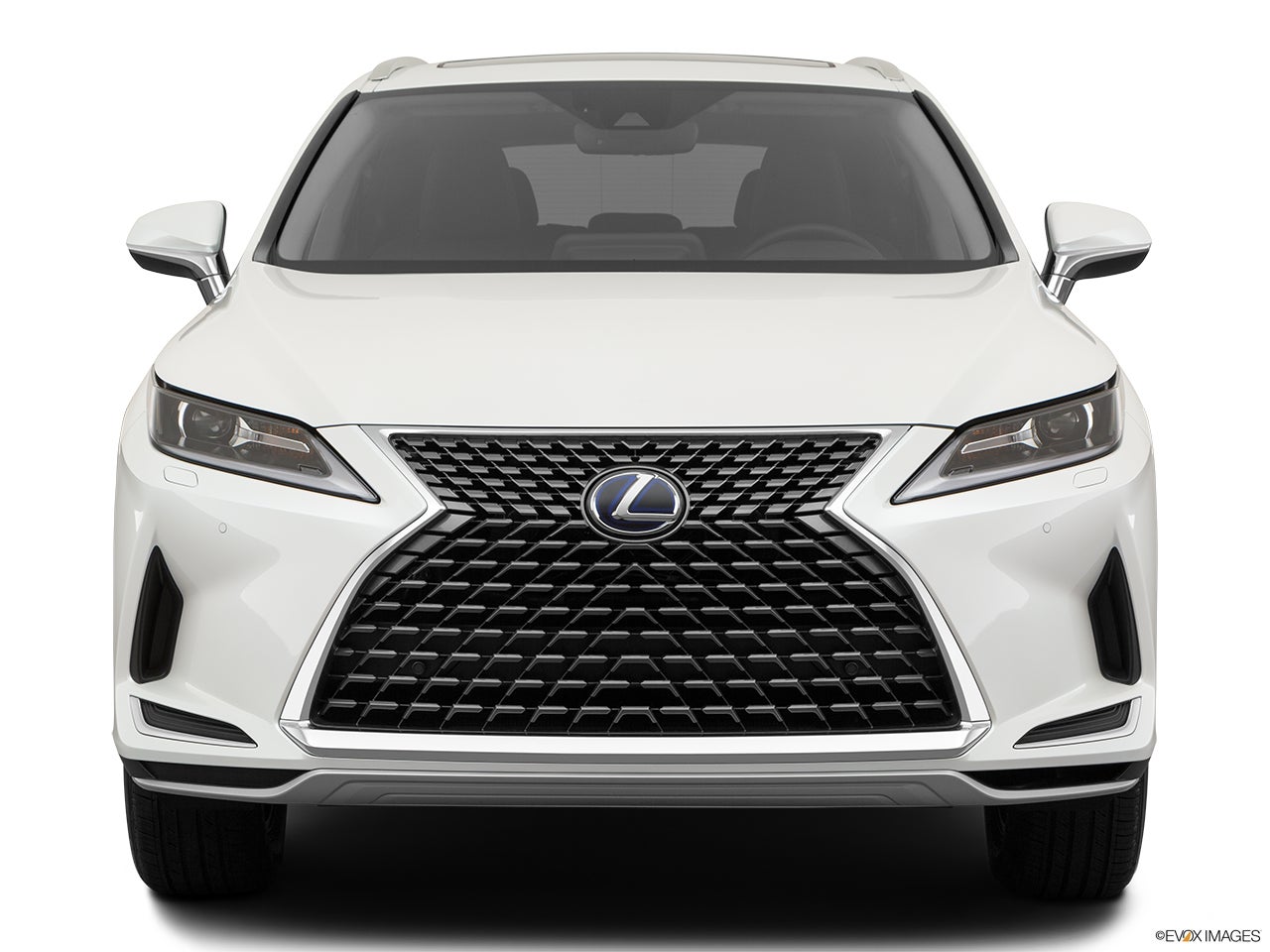 2022 Lexus RX 450h photo