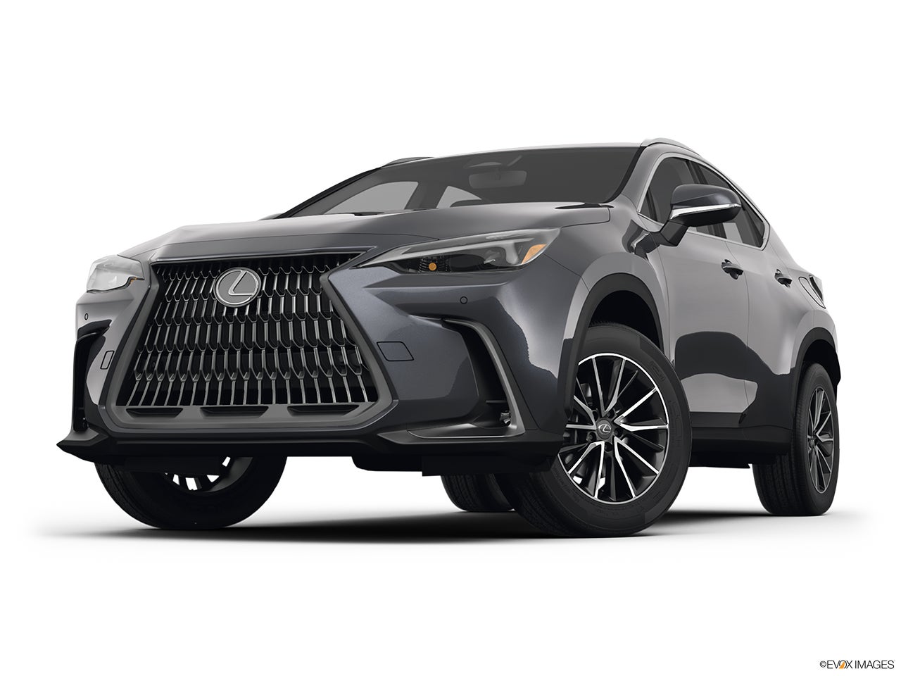 2025 Lexus NX 350h photo