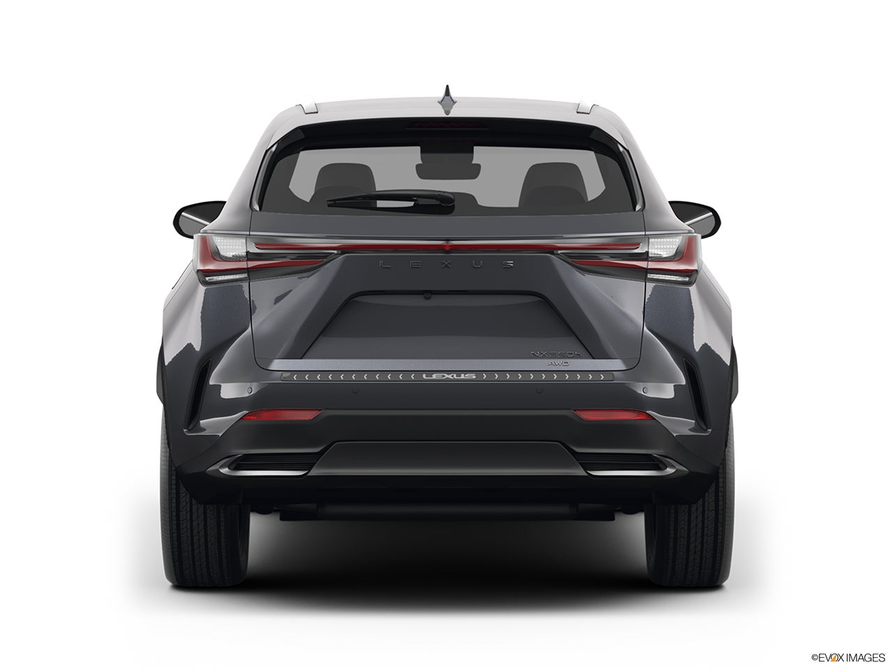 2025 Lexus NX 350h photo