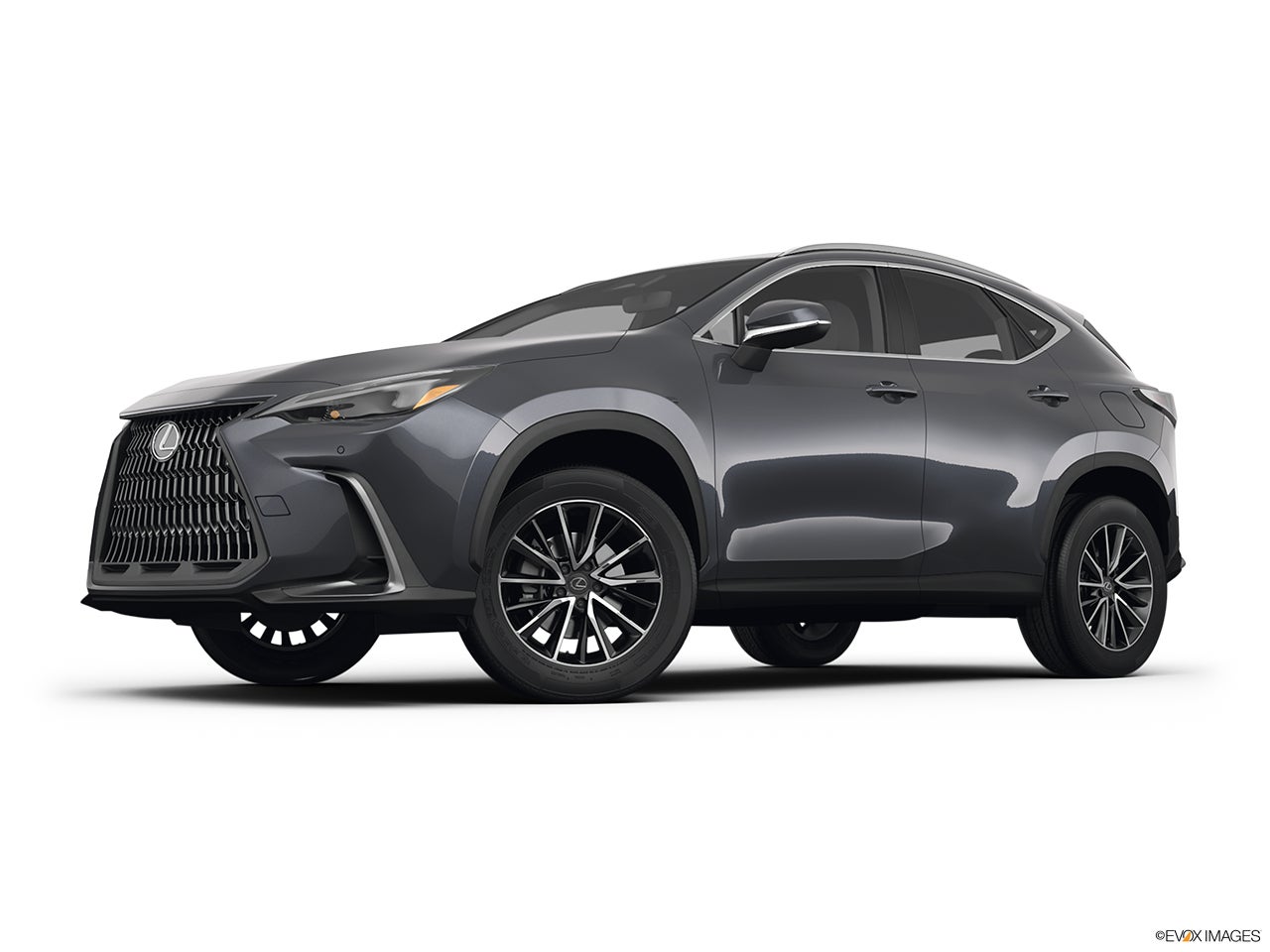 2025 Lexus NX 350h photo