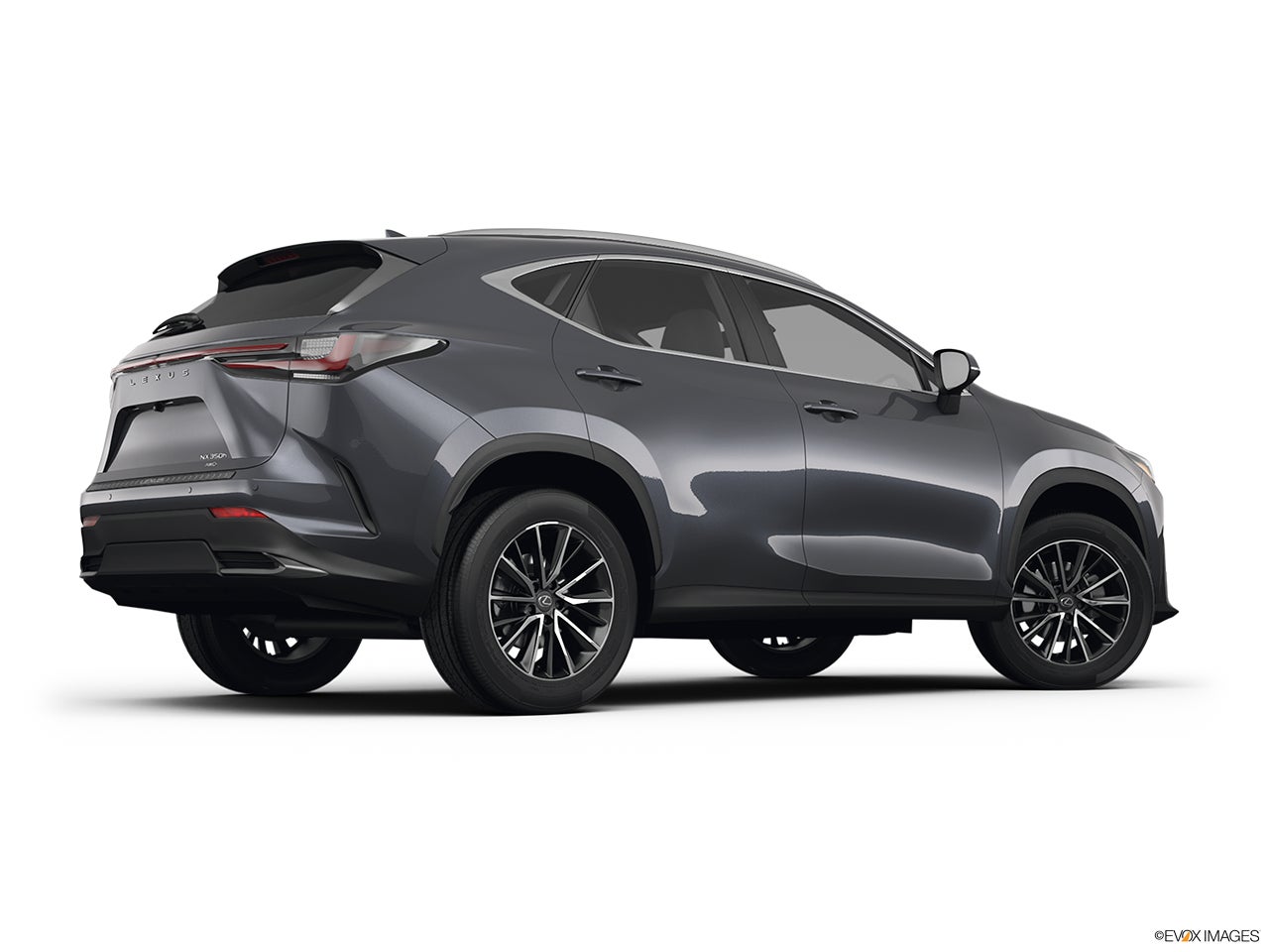 2025 Lexus NX 350h photo