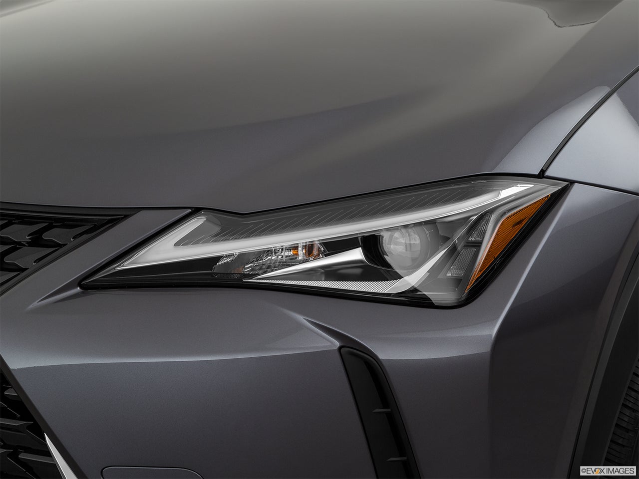 2023 Lexus UX 250h photo