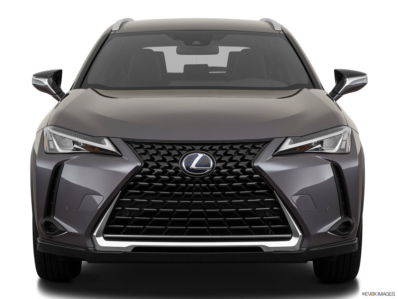 2023 Lexus UX 250h photo