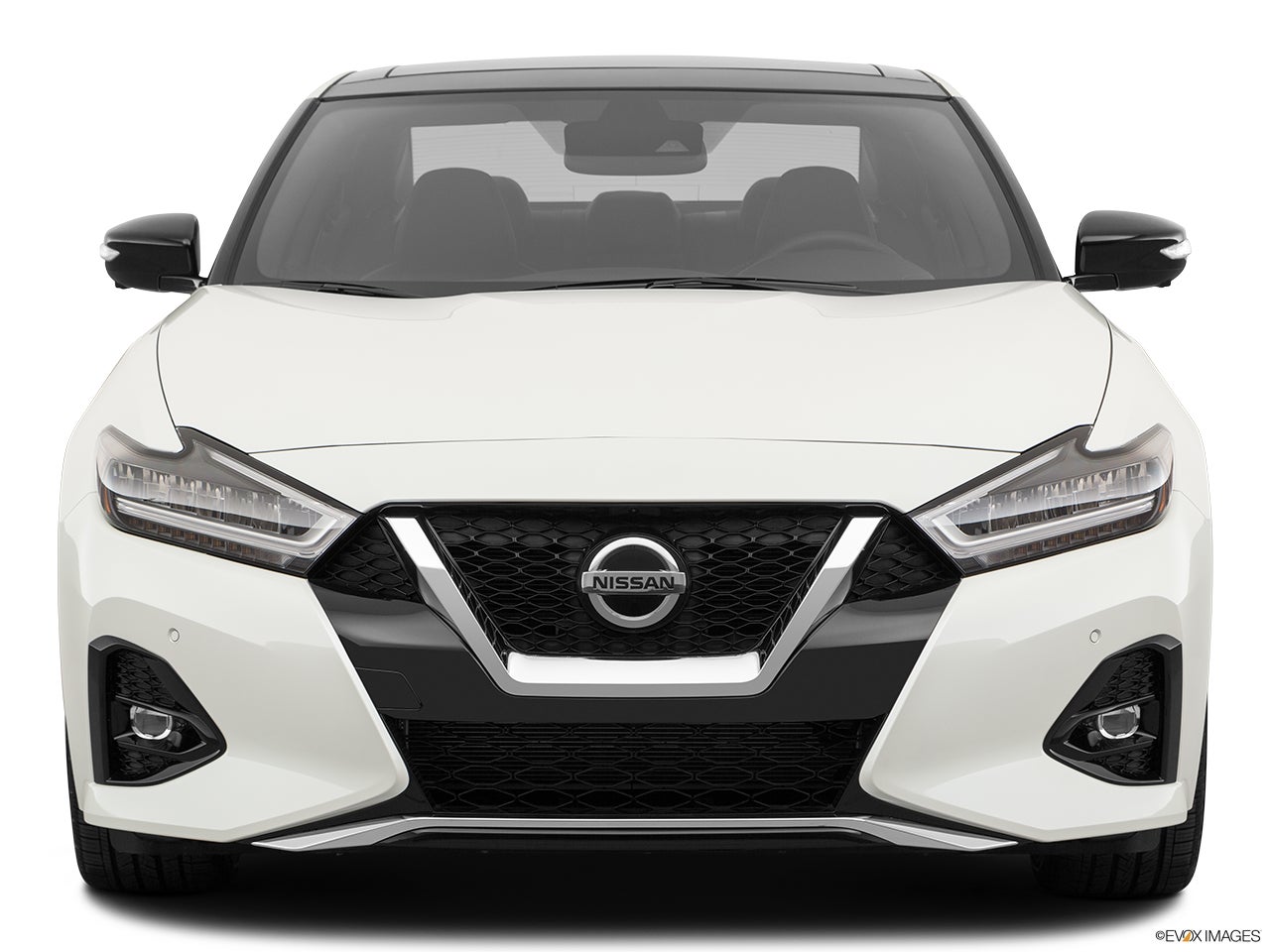 2022 Nissan Maxima photo