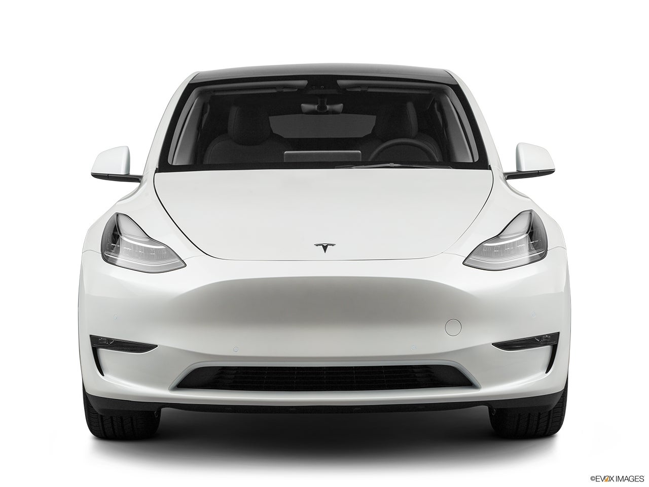 2022 Tesla Model Y photo