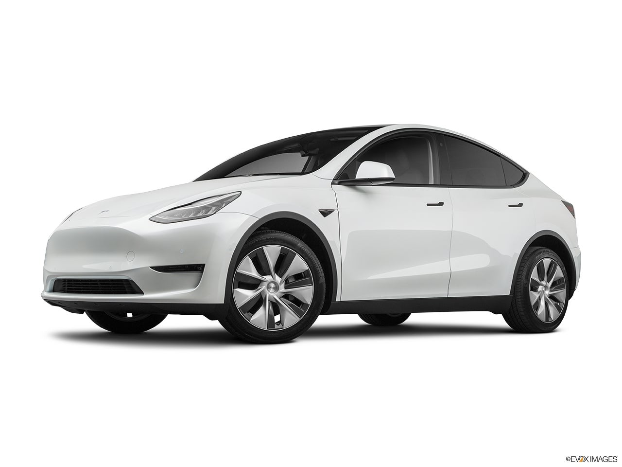 2022 Tesla Model Y photo