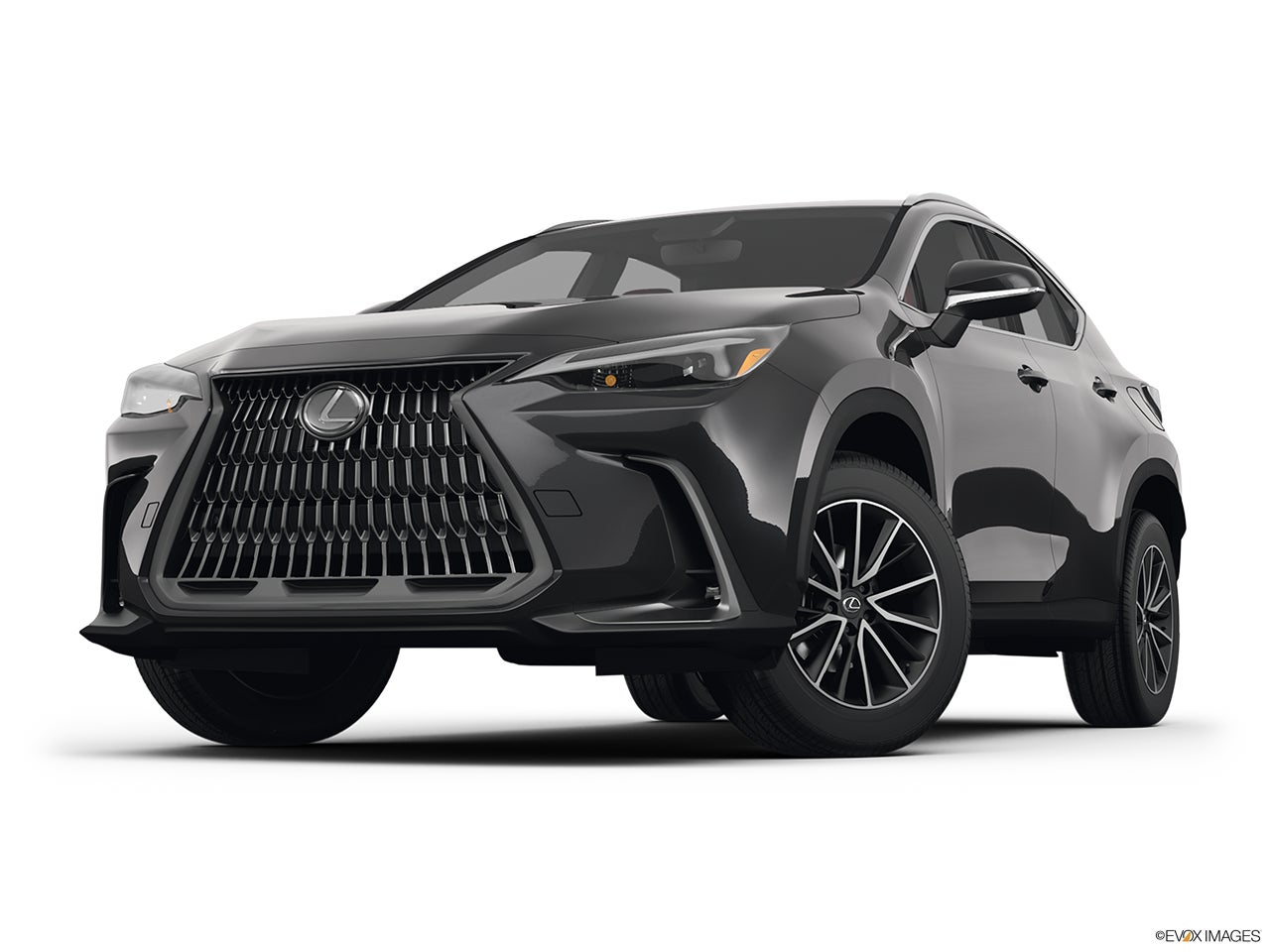 2025 Lexus NX 250 photo