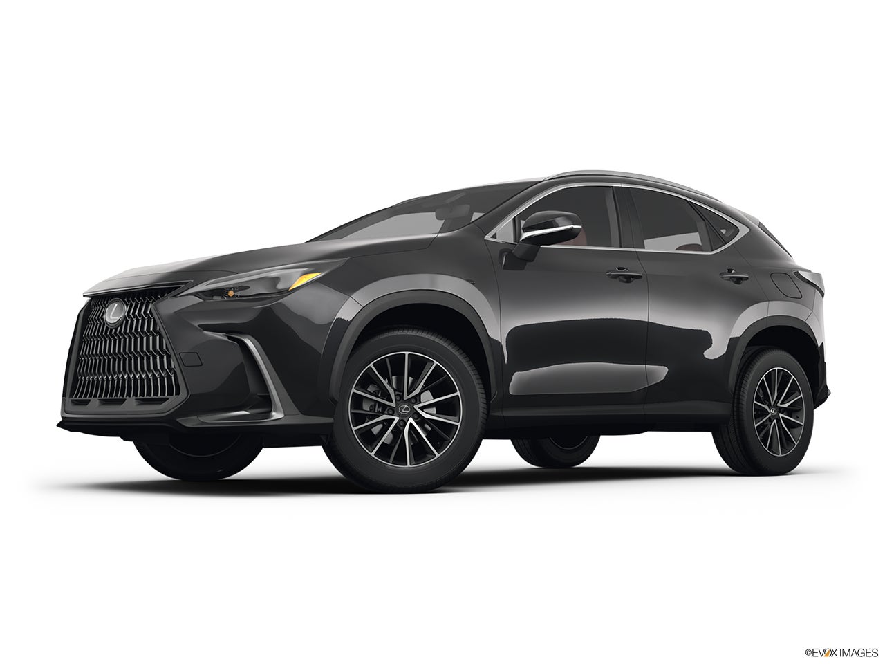 2025 Lexus NX 250 photo