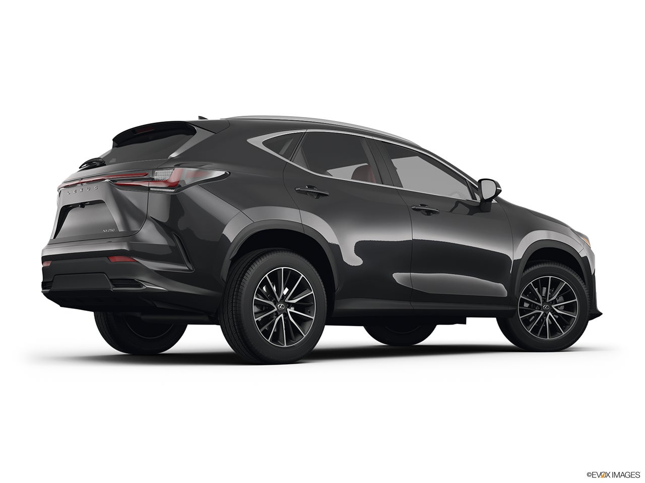 2025 Lexus NX 250 photo