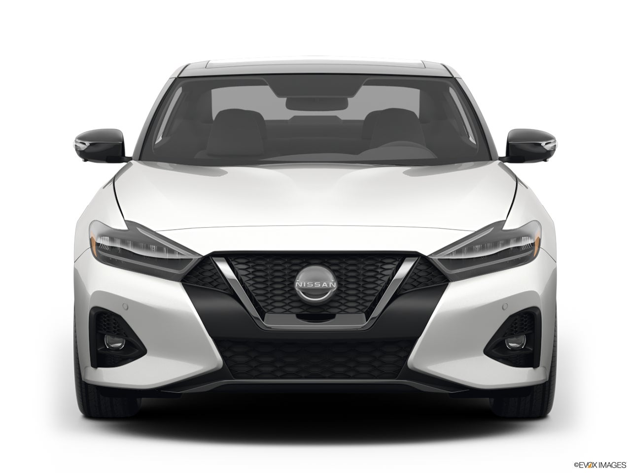 2023 Nissan Maxima photo