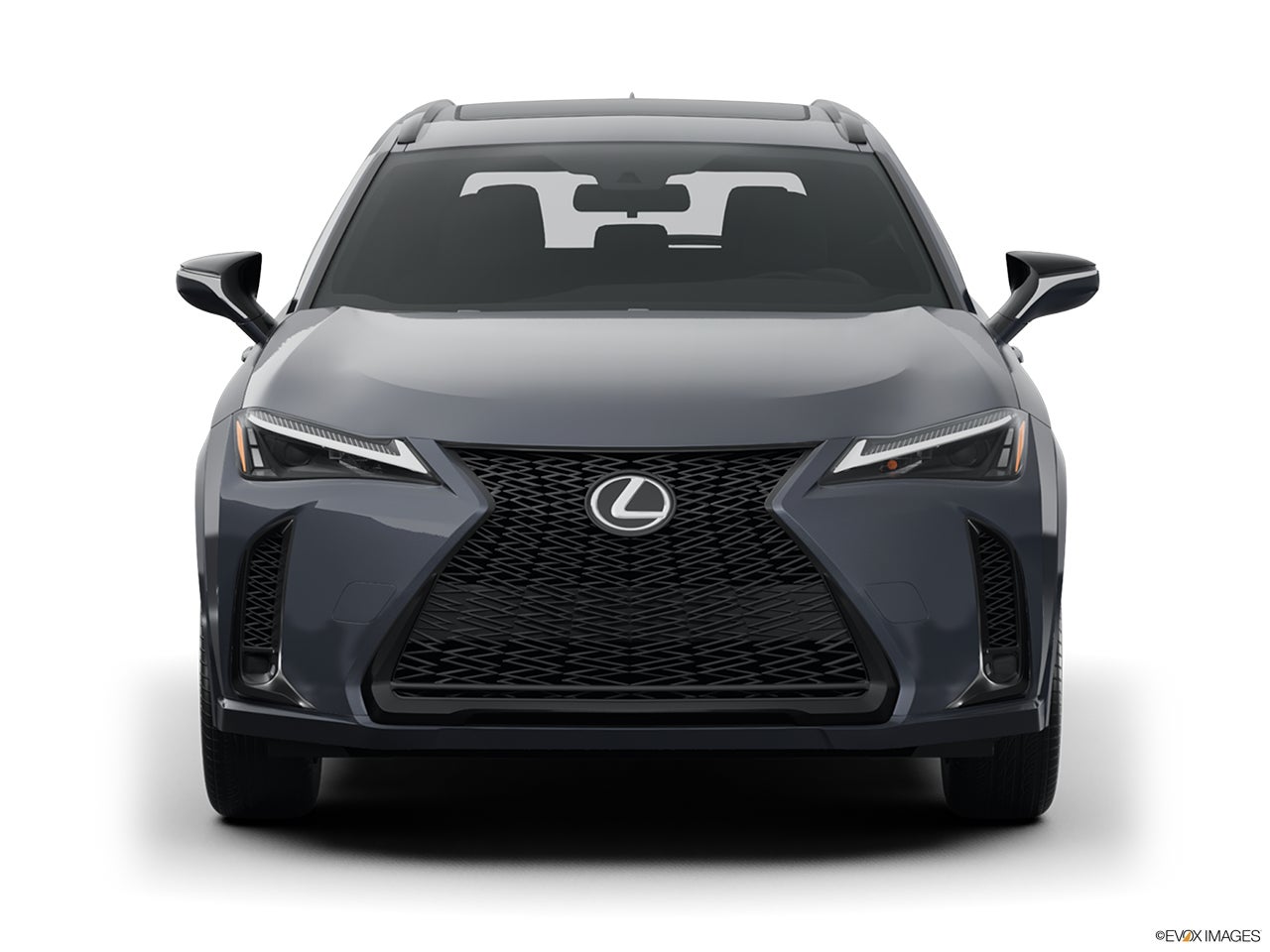 2024 Lexus UX 250h photo