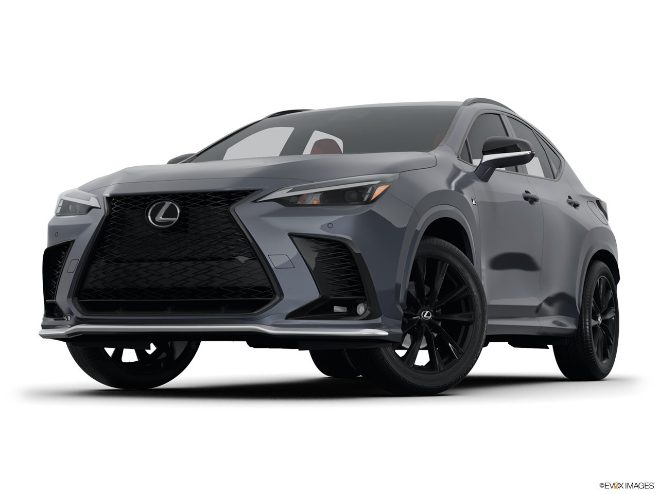 2025 Lexus NX 350 photo