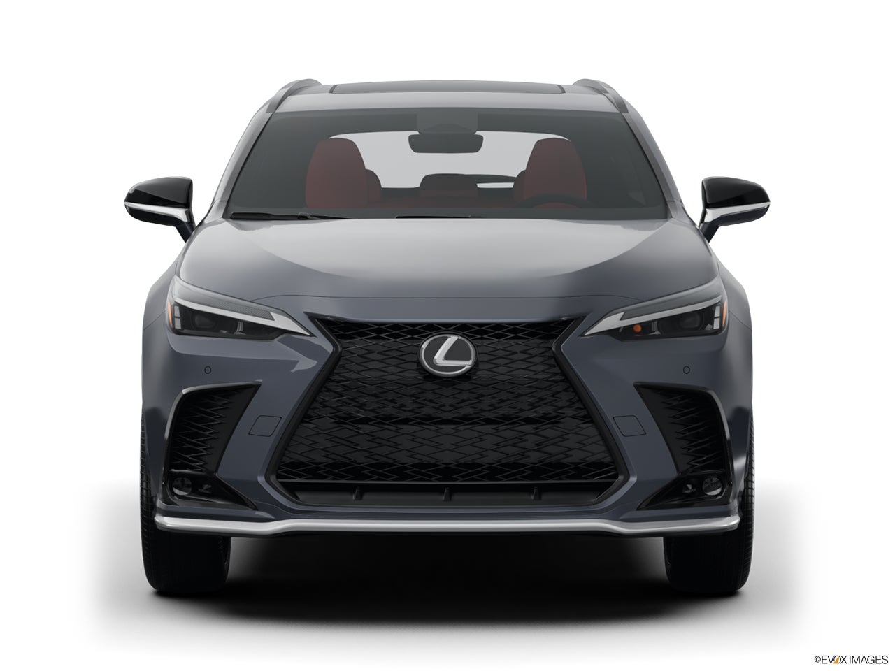 2025 Lexus NX 350 photo