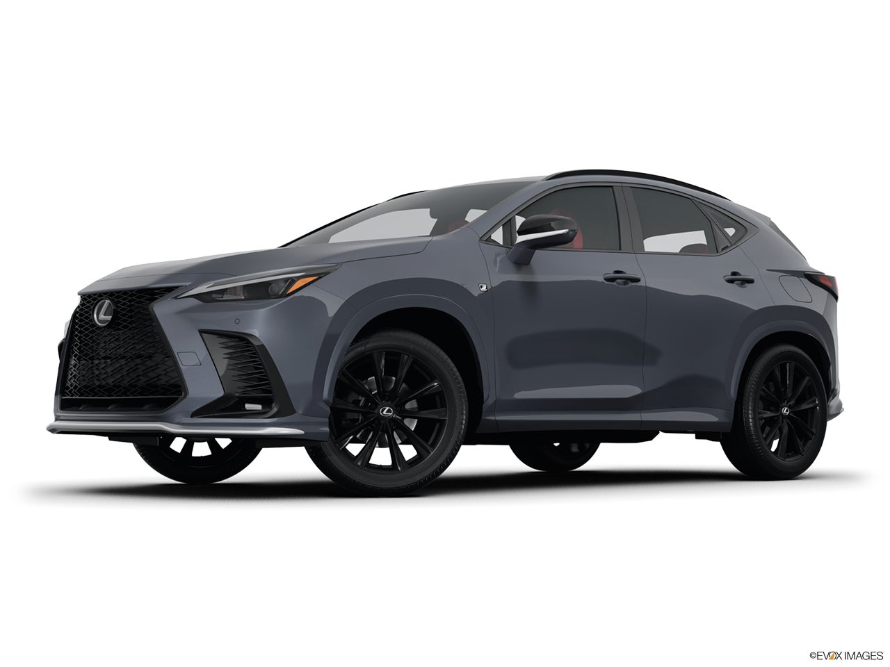 2025 Lexus NX 350 photo