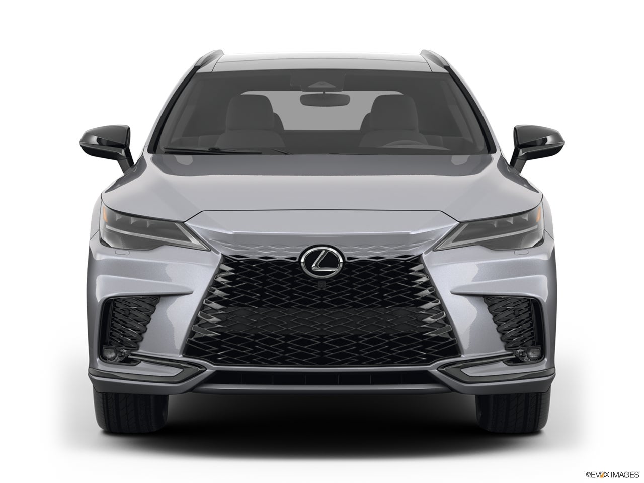 2024 Lexus RX 500h photo