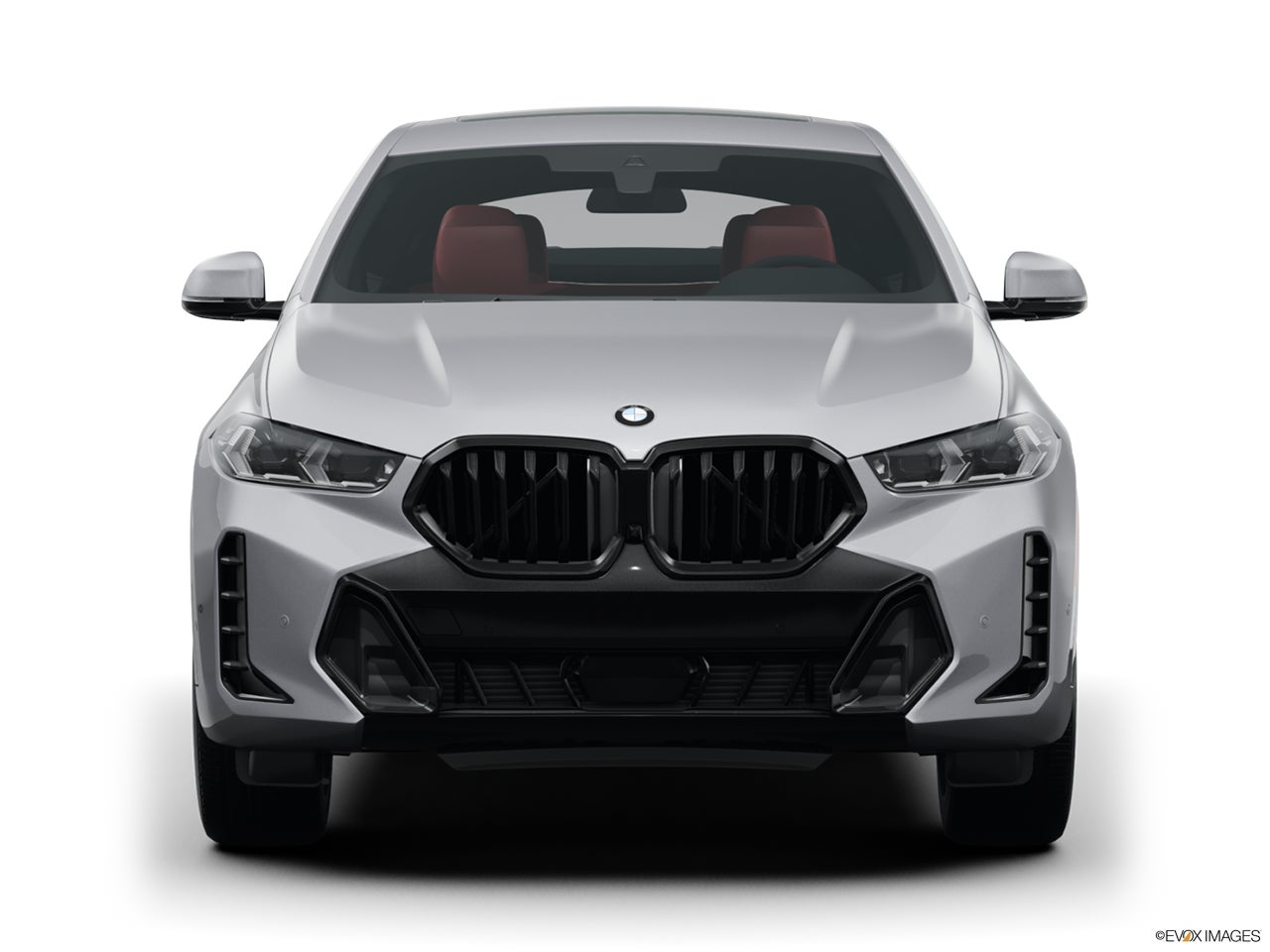 2025 BMW X6 photo