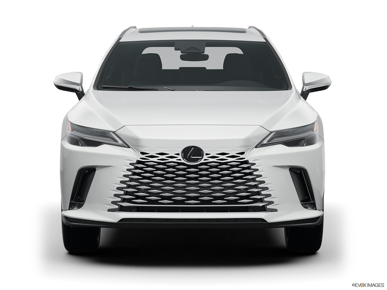 2024 Lexus RX 350 photo