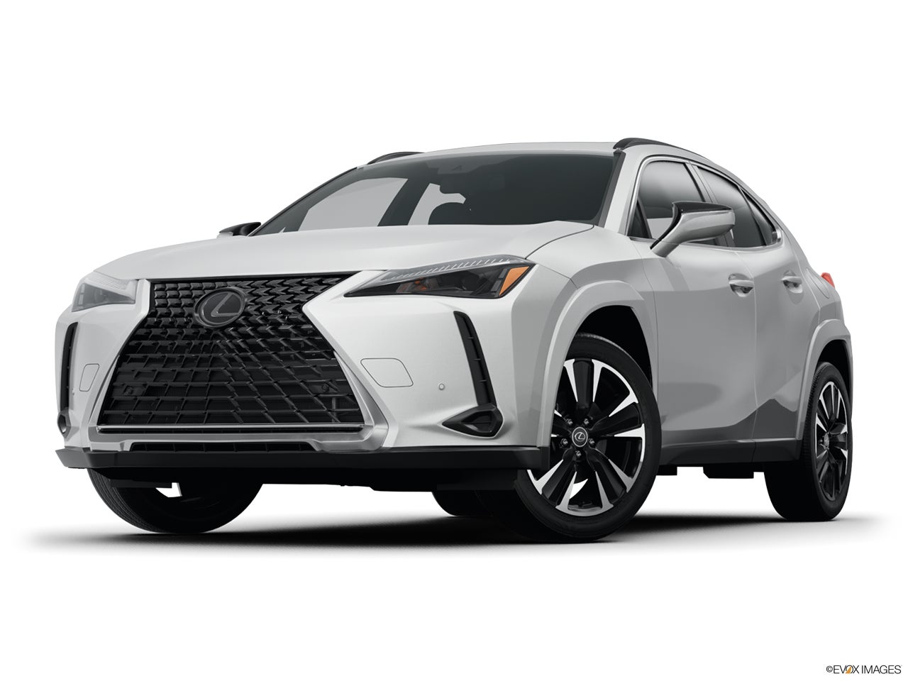 2024 Lexus UX 250h photo