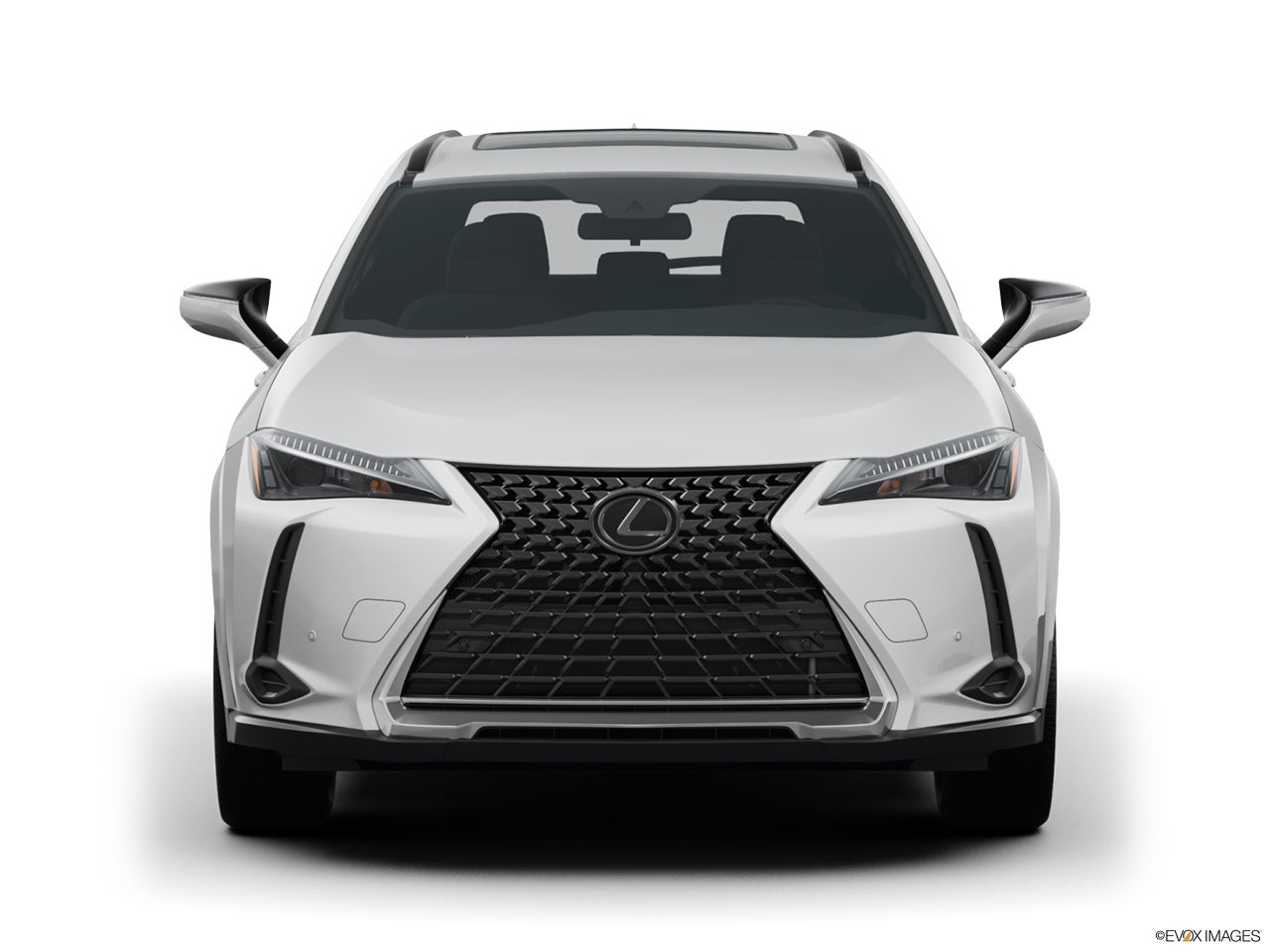 2024 Lexus UX 250h photo