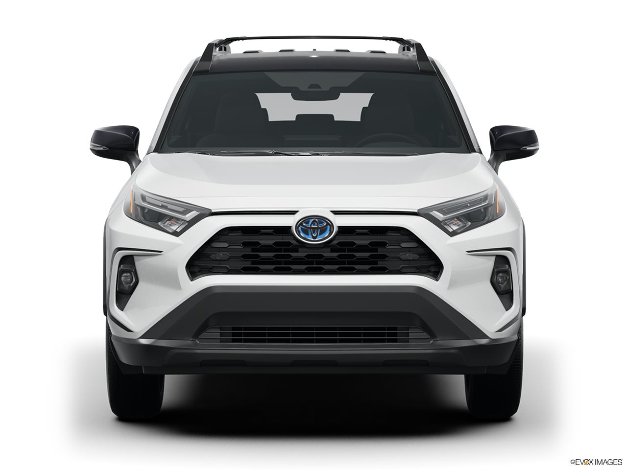 2025 Toyota RAV4 Hybrid photo