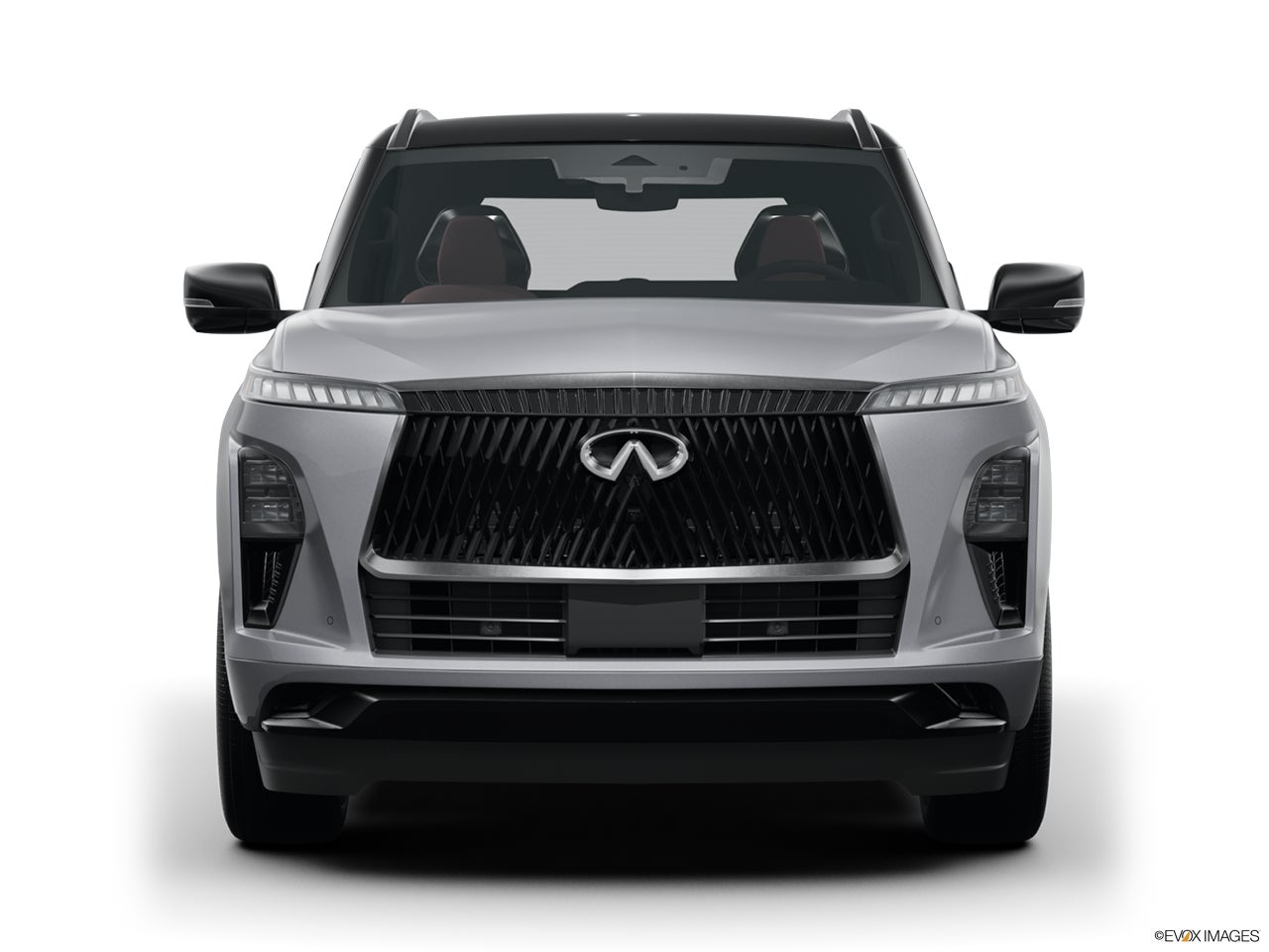 2025 INFINITI QX80 photo